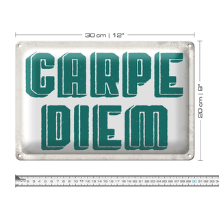 Blechschild Spruch 30x20cm carpe diem nutze dein Tag