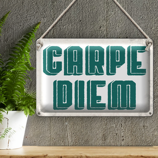 Blechschild Spruch 30x20cm carpe diem nutze dein Tag