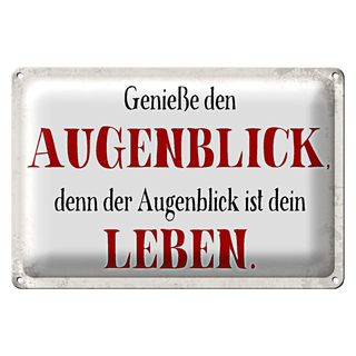 Blechschild Spruch 30x20cm genieße den Augenblick Leben