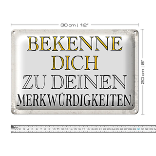 Blechschild Spruch 30x20cm bekenne dich Merkwürdigkeiten