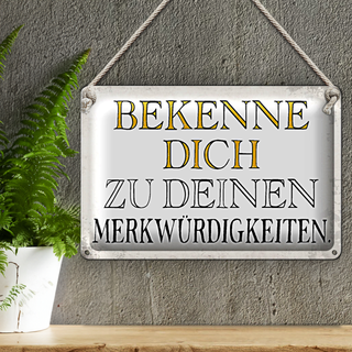 Blechschild Spruch 30x20cm bekenne dich Merkwürdigkeiten