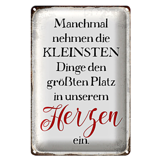 Blechschild Spruch 20x30cm die kleinsten Dinge größte Platz