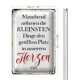 Blechschild Spruch 20x30cm die kleinsten Dinge größte Platz
