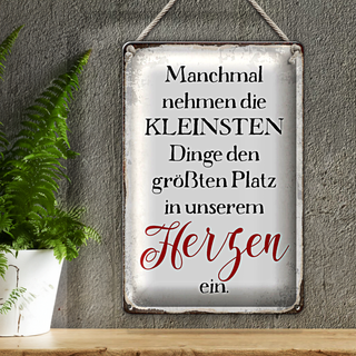 Blechschild Spruch 20x30cm die kleinsten Dinge größte Platz