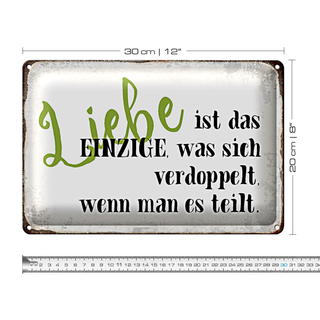Blechschild Spruch 30x20cm Liebe ist das einzige was sich
