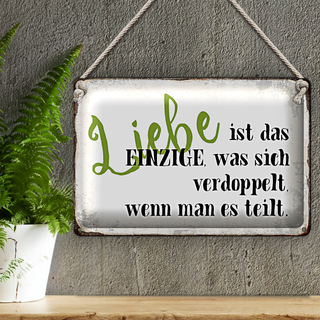 Blechschild Spruch 30x20cm Liebe ist das einzige was sich