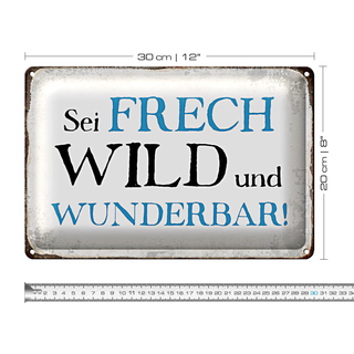 Blechschild Spruch 30x20cm sei frech wild wunderbar Retro