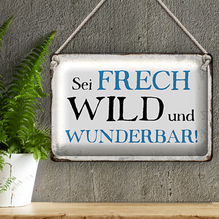 Blechschild Spruch 30x20cm sei frech wild wunderbar Retro