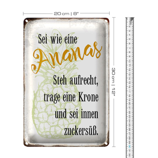 Blechschild Spruch 20x30cm sei Ananas aufrecht zuckersüß