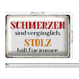 Blechschild Spruch 30x20cm Schmerzen Solz hält für immer