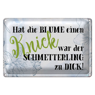 Blechschild Spruch 30x20cm hat Blume Knick Schmetterling