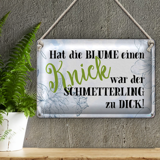 Blechschild Spruch 30x20cm hat Blume Knick Schmetterling