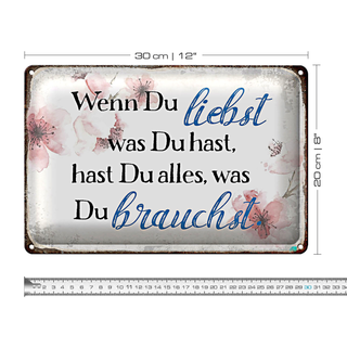 Blechschild Spruch 30x20cm wenn du liebst was du hast