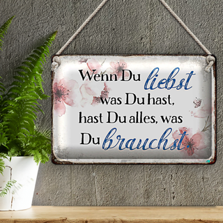 Blechschild Spruch 30x20cm wenn du liebst was du hast