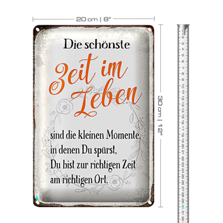 Blechschild Spruch 20x30cm die schönste Zeit im Leben sind