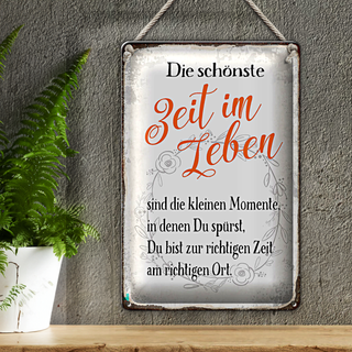 Blechschild Spruch 20x30cm die schönste Zeit im Leben sind