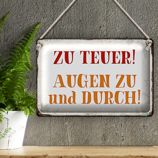 Blechschild Spruch 30x20cm zu teuer Augen zu und durch