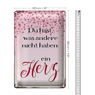Blechschild Spruch 20x30cm hast was andere nicht haben Herz