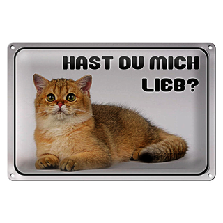 Blechschild Katze 30x20cm hast du mich lieb?