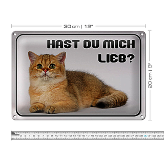 Blechschild Katze 30x20cm hast du mich lieb?