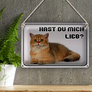 Blechschild Katze 30x20cm hast du mich lieb?