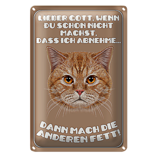 Blechschild Katze 20x30cm lieber Gott wenn du schon nicht