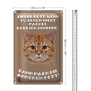 Blechschild Katze 20x30cm lieber Gott wenn du schon nicht