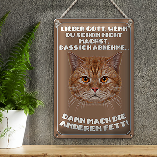 Blechschild Katze 20x30cm lieber Gott wenn du schon nicht