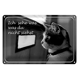 Blechschild Katze 30x20cm ich sehe was du nicht siehst