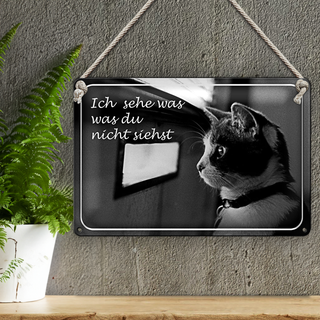 Blechschild Katze 30x20cm ich sehe was du nicht siehst