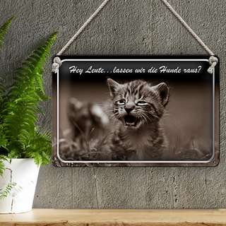 Blechschild Katze 30x20cm Hey lassen wir die Hunde raus?
