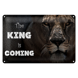 Blechschild Löwe 30x20cm The King is coming