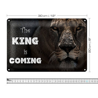 Blechschild Löwe 30x20cm The King is coming