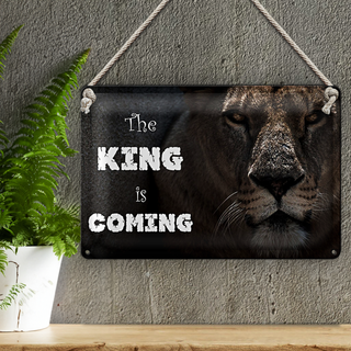 Blechschild Löwe 30x20cm The King is coming