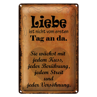Blechschild Spruch 20x30cm Liebe ist nicht vom ersten Tag