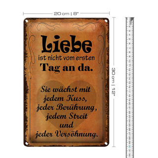 Blechschild Spruch 20x30cm Liebe ist nicht vom ersten Tag