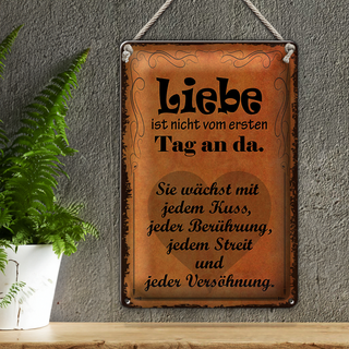 Blechschild Spruch 20x30cm Liebe ist nicht vom ersten Tag