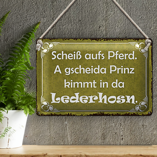 Blechschild Spruch 30x20cm scheiß aufs Pferd Prinz kimmt