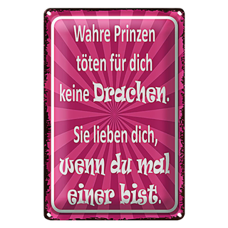 Blechschild Spruch 20x30cm wahre Prinzen töten keine