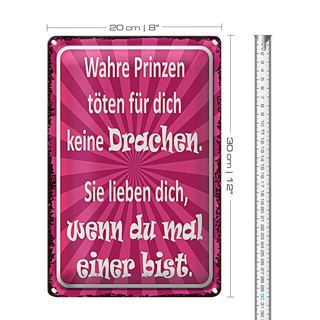 Blechschild Spruch 20x30cm wahre Prinzen töten keine