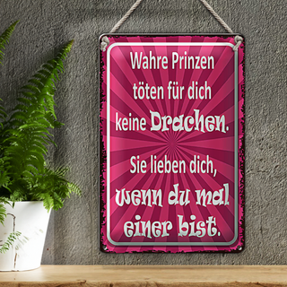 Blechschild Spruch 20x30cm wahre Prinzen töten keine