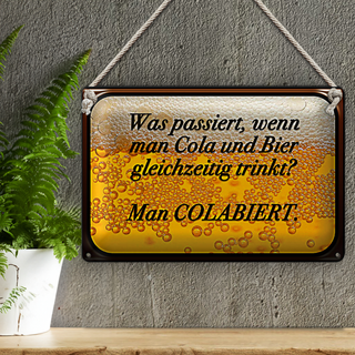 Blechschild Spruch 30x20cm was passiert wenn Cola und Bier