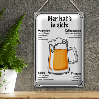 Blechschild Spruch 20x30cm Bier Magnesium Kalium Vitamine