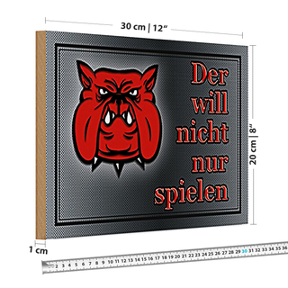 Holzschild Warnung 30x20cm Hund will nicht nur spielen