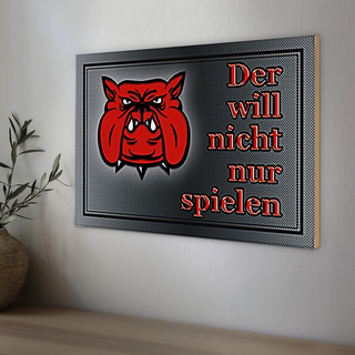 Holzschild Warnung 30x20cm Hund will nicht nur spielen