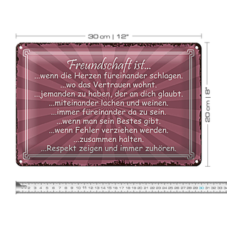 Blechschild Spruch 30x20cm Freundschaft ist wenn Herze