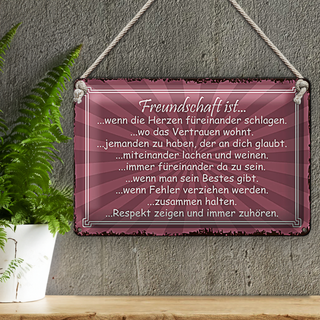 Blechschild Spruch 30x20cm Freundschaft ist wenn Herze