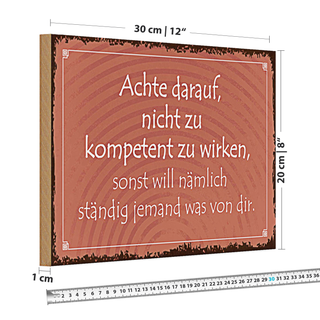 Holzschild Spruch 30x20cm kompetent ständig will jemand