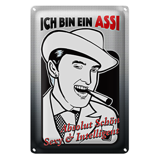 Blechschild Spruch 20x30cm ich bin ASSI schön intelligent