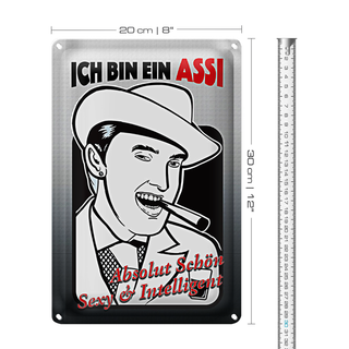 Blechschild Spruch 20x30cm ich bin ASSI schön intelligent